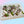 Load image into Gallery viewer, GOURMET STRAWBERRIES