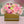 Load image into Gallery viewer, LINDA