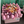 Load image into Gallery viewer, LINDA
