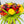 Load image into Gallery viewer, PEACHY
